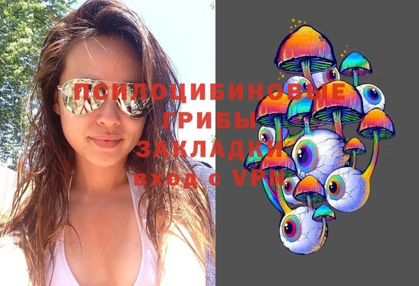 мдпв Нягань